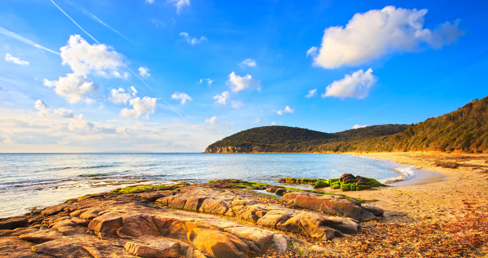 Cala Violina, tesoro e paradiso della Maremma                                                                                                                                                                                                                  